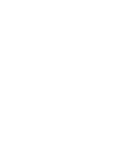 Vestjyden Spinner